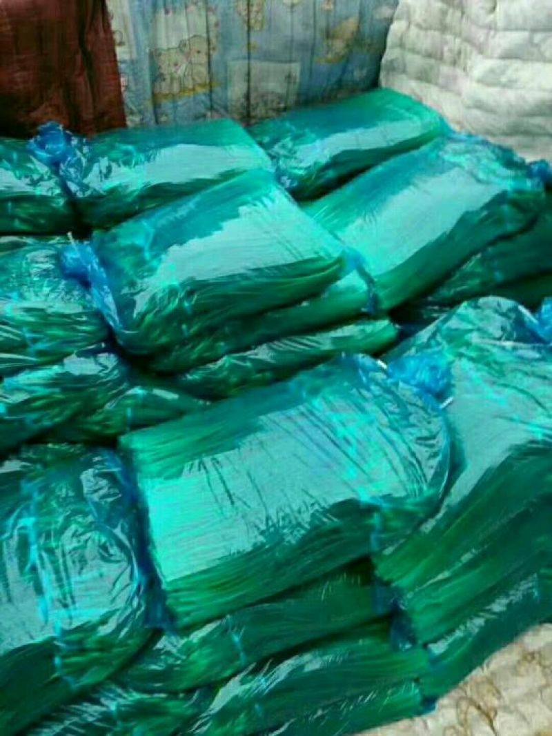 蒜苔金乡蒜苔红帽蒜苔质量好价格低