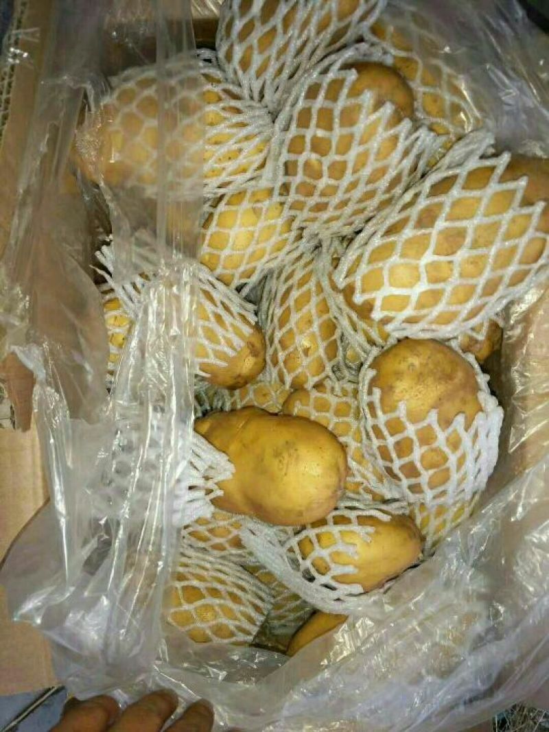 土豆库存平度土豆滕州土豆出库价格便宜保质量