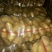 土豆库存平度土豆滕州土豆出库价格便宜保质量