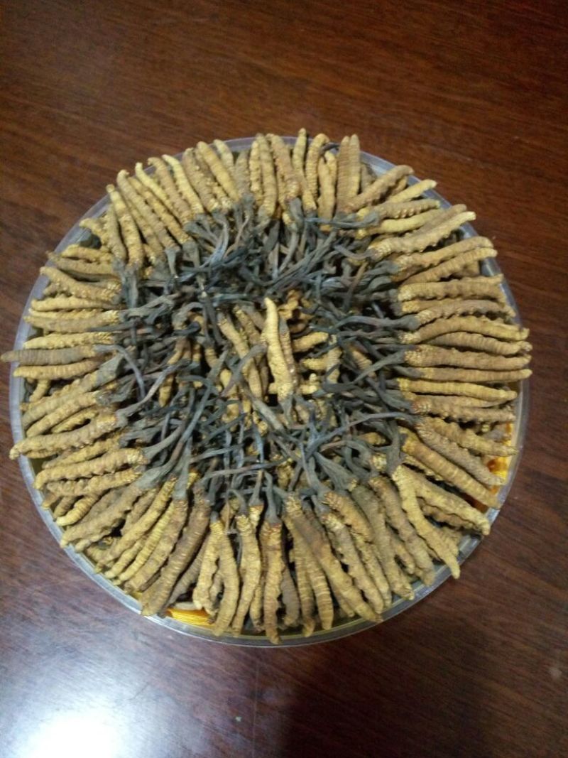 冬虫夏草礼盒装