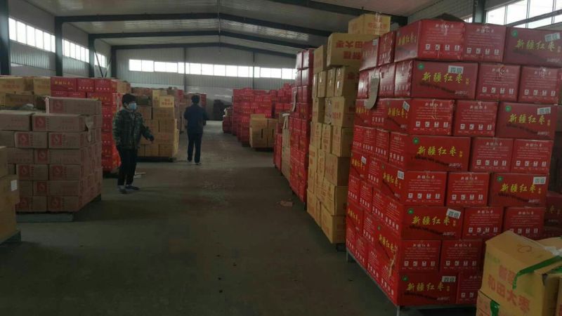 【热卖】新货新疆和田大枣骏枣产地货源质优价廉价格便宜