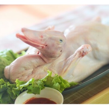 白条鸭