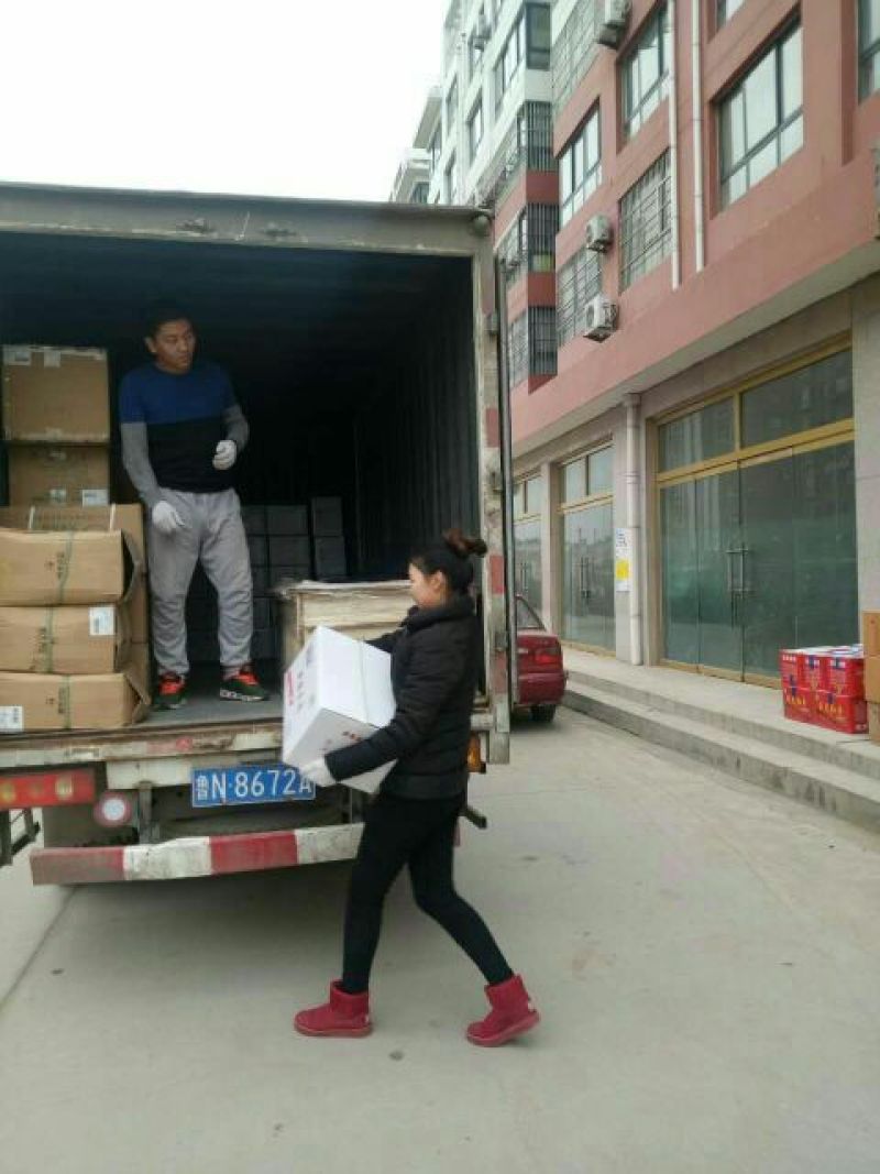 摆地摊大卖皮皮枣乐陵市红枣基地直供量大从优