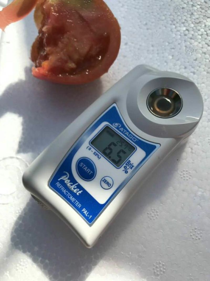 粉果番茄弧二以上软粉精品