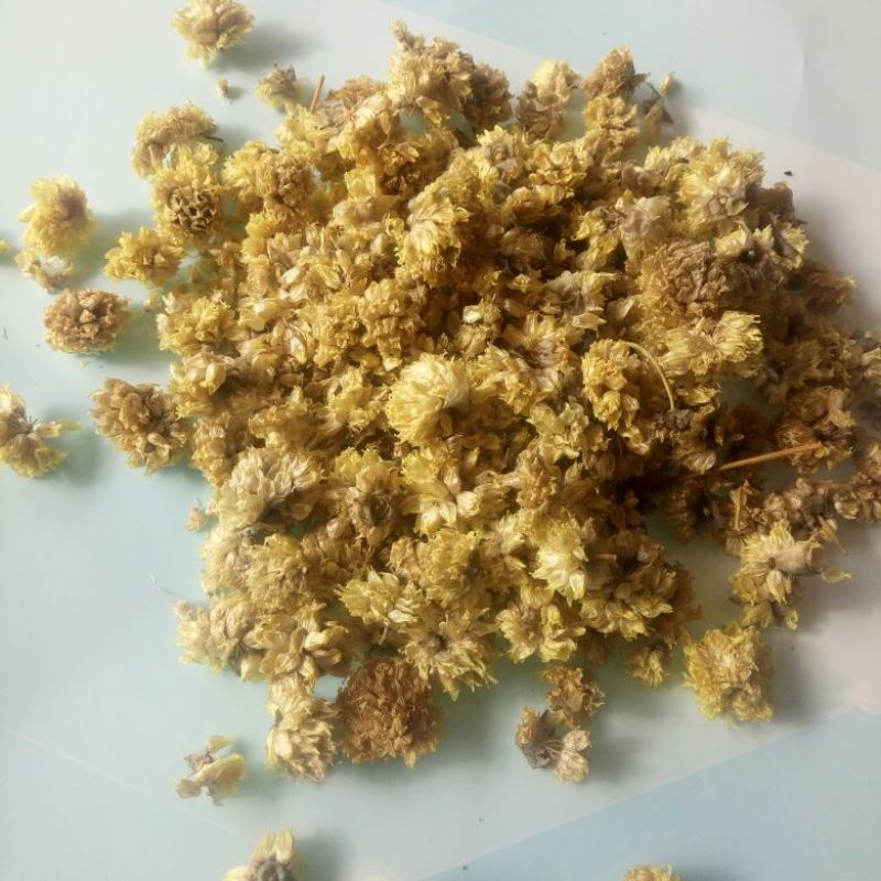 香葱小葱野葱花