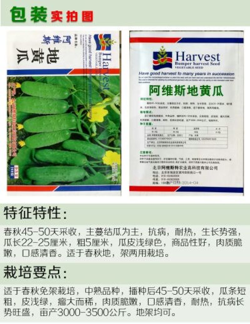 黄瓜种子水果黄瓜13大品种