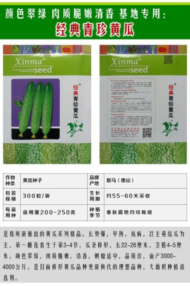黄瓜种子水果黄瓜13大品种
