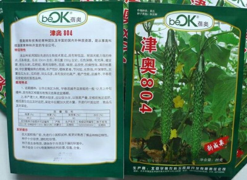 黄瓜种子水果黄瓜13大品种