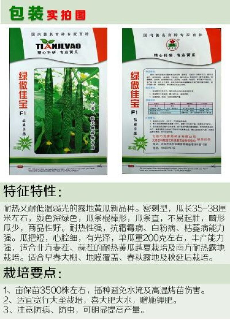 黄瓜种子水果黄瓜13大品种