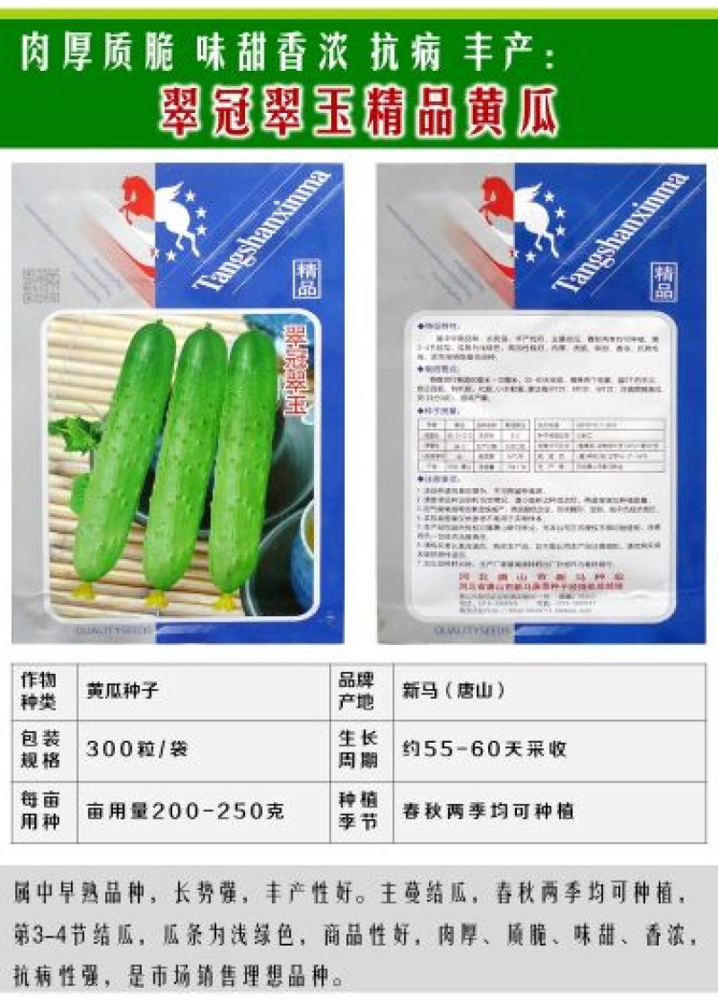 黄瓜种子水果黄瓜13大品种