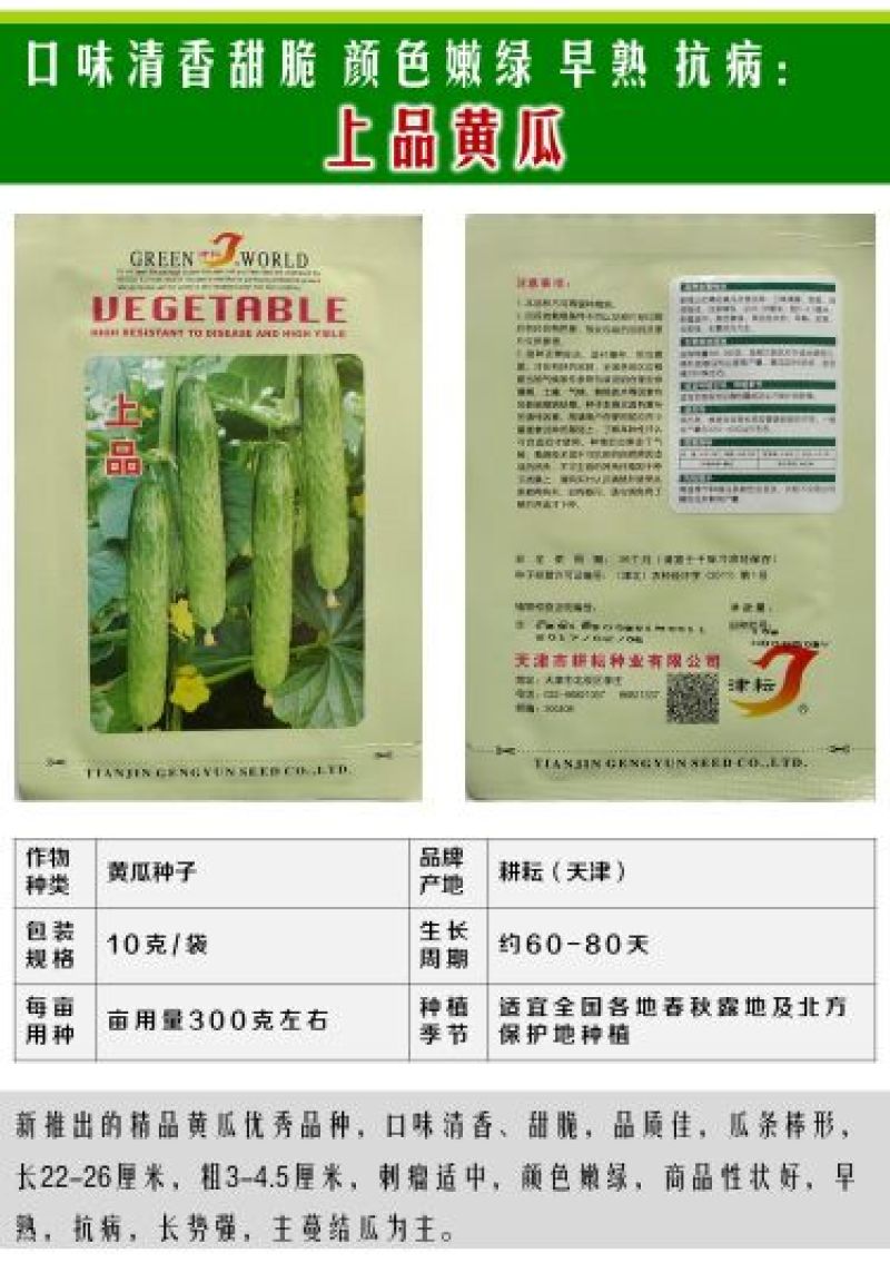 黄瓜种子水果黄瓜13大品种