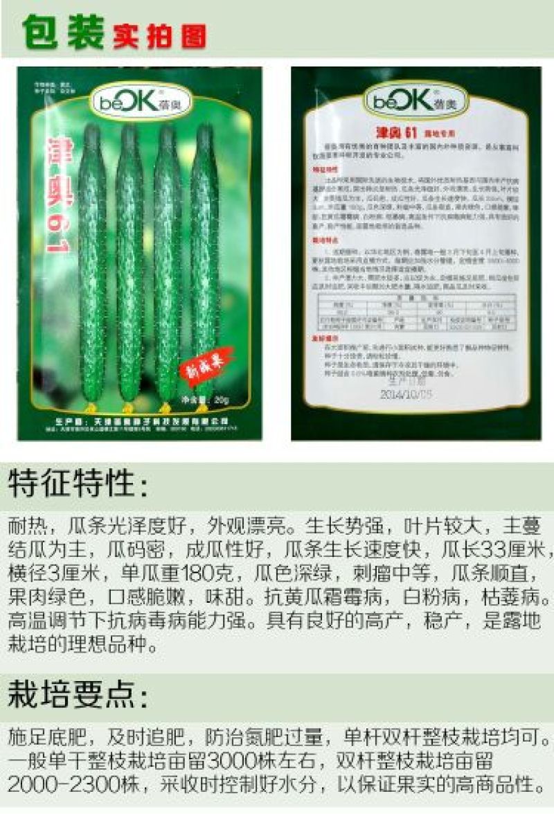 黄瓜种子水果黄瓜13大品种