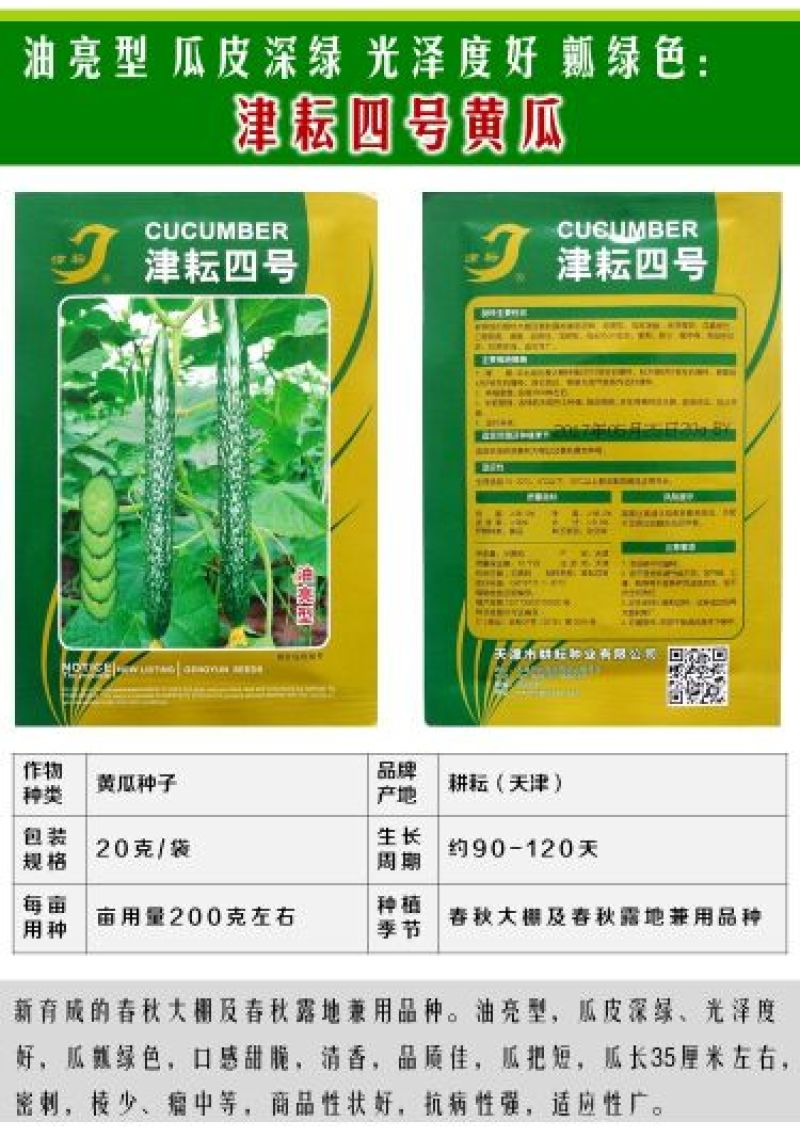 黄瓜种子水果黄瓜13大品种