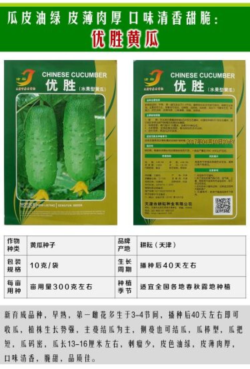 黄瓜种子水果黄瓜13大品种