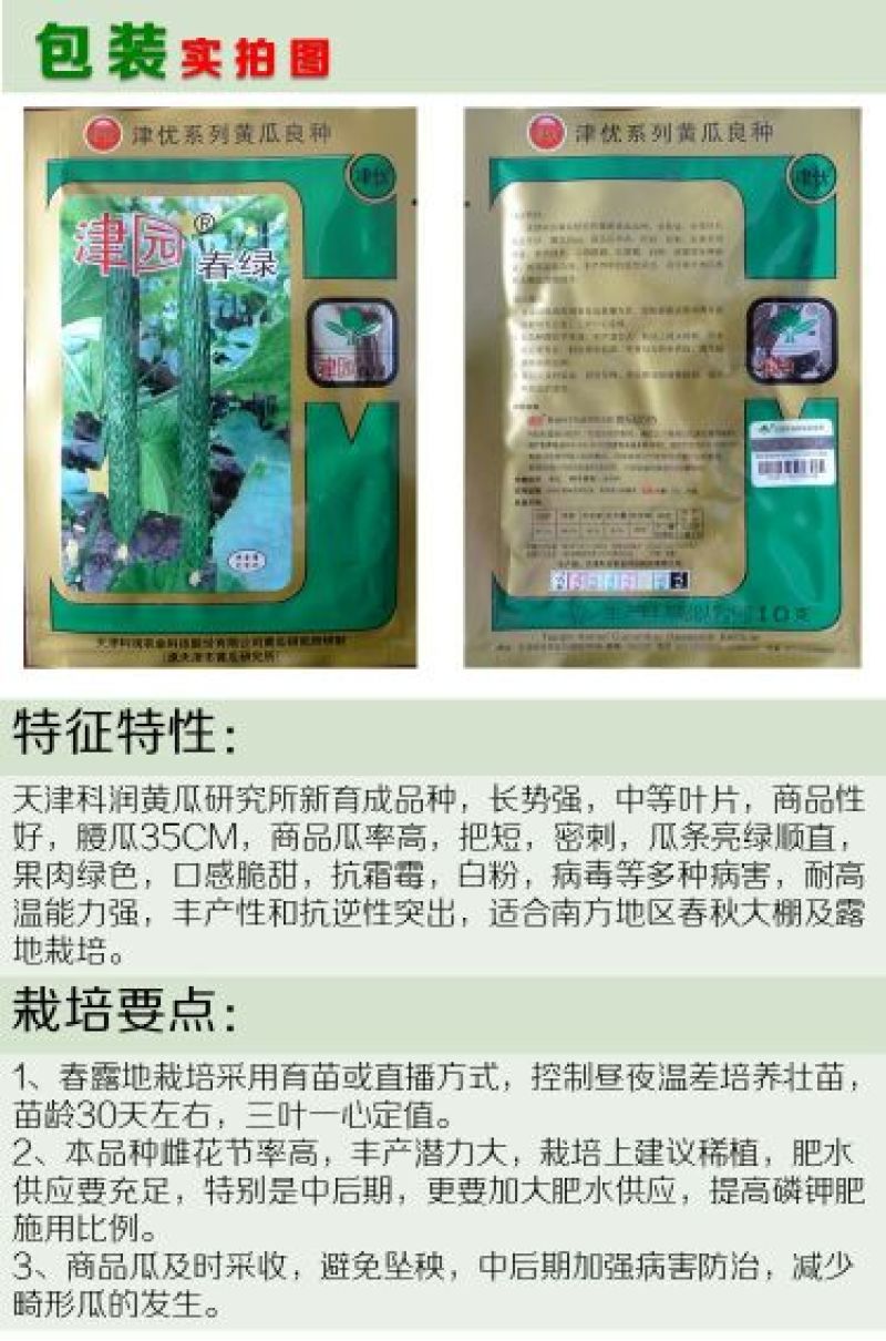 黄瓜种子水果黄瓜13大品种