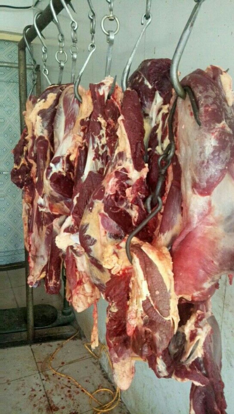 白牦牛天祝白牦牛肉