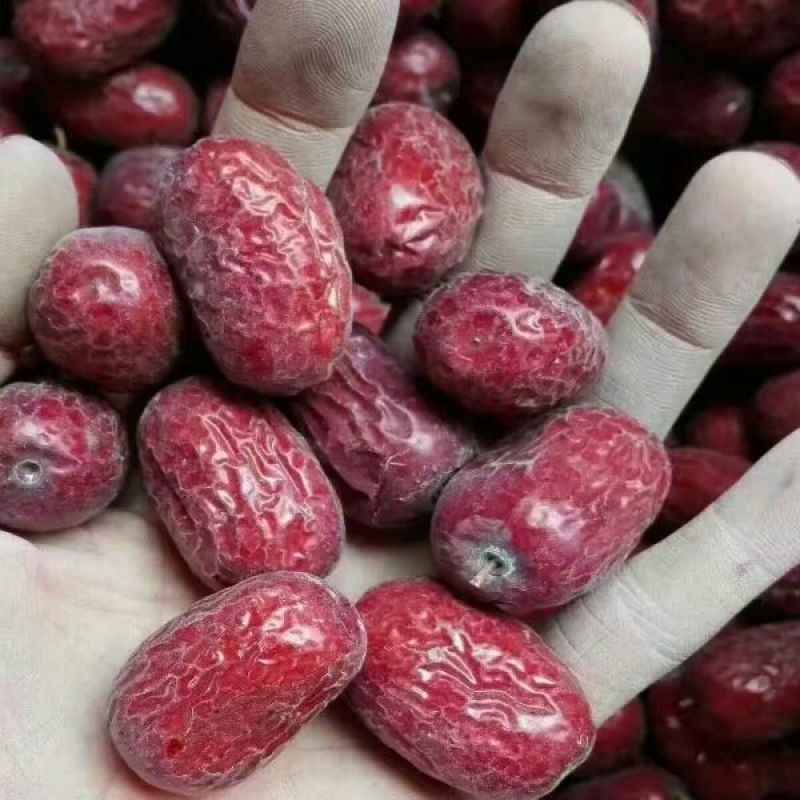 敦煌特产马牙枣特级红干枣核小肉厚细嫩甘甜煮粥泡水零食佳品