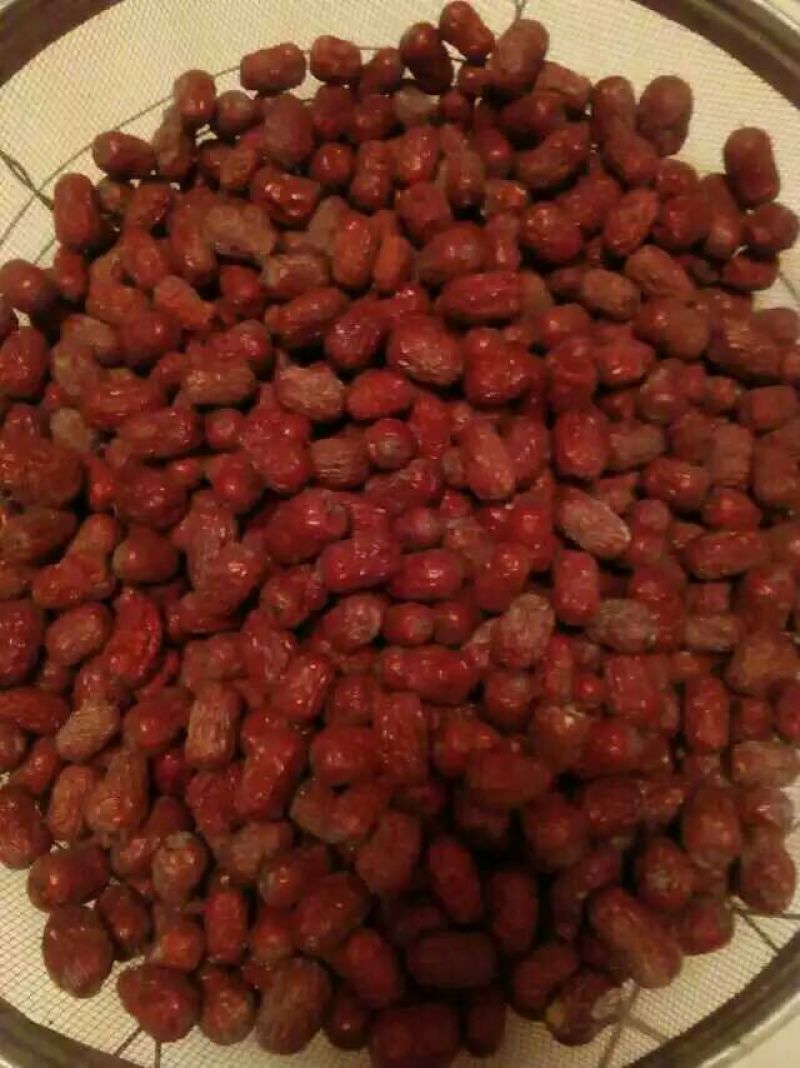敦煌特产马牙枣特级红干枣核小肉厚细嫩甘甜煮粥泡水零食佳品