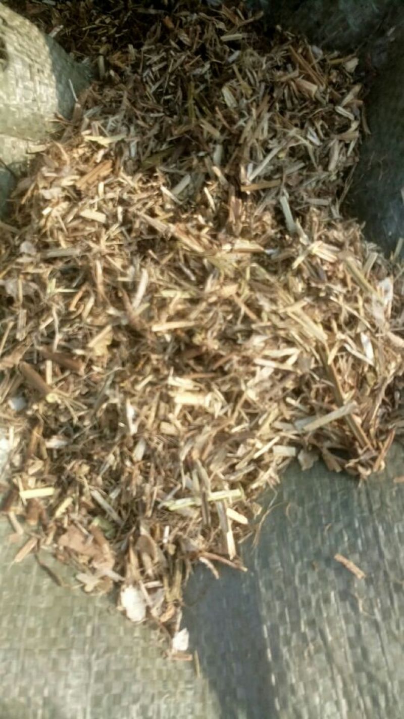 花生糠饲料