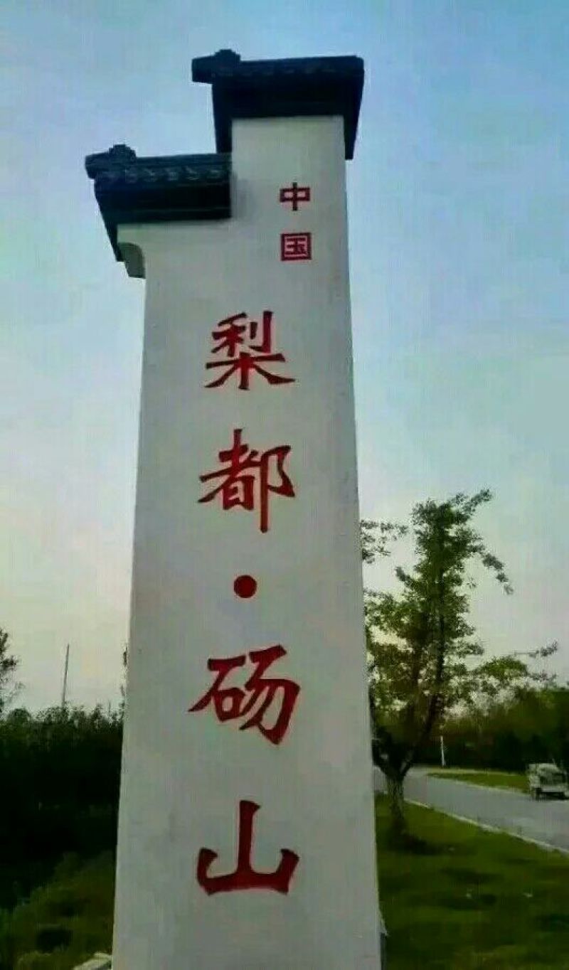 砀山梨250~300g纸箱