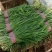【推荐】大量供应头茬精品小叶韭菜基地发货价格优惠