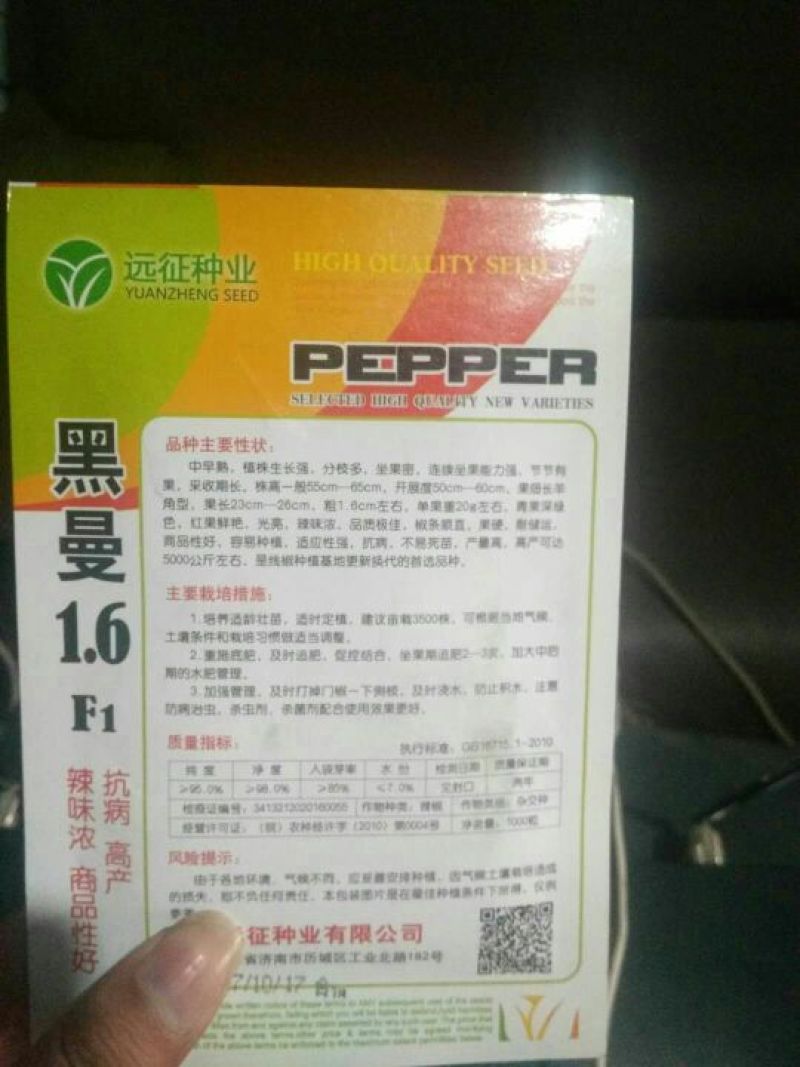 线椒种子97%以上