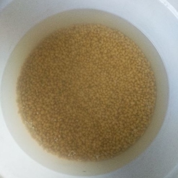 豆腐湿豆腐