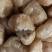 豆腐湿豆腐