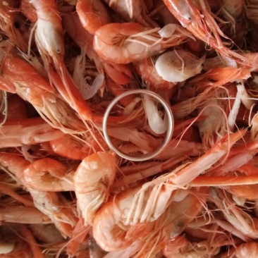 红虾食用冻虾