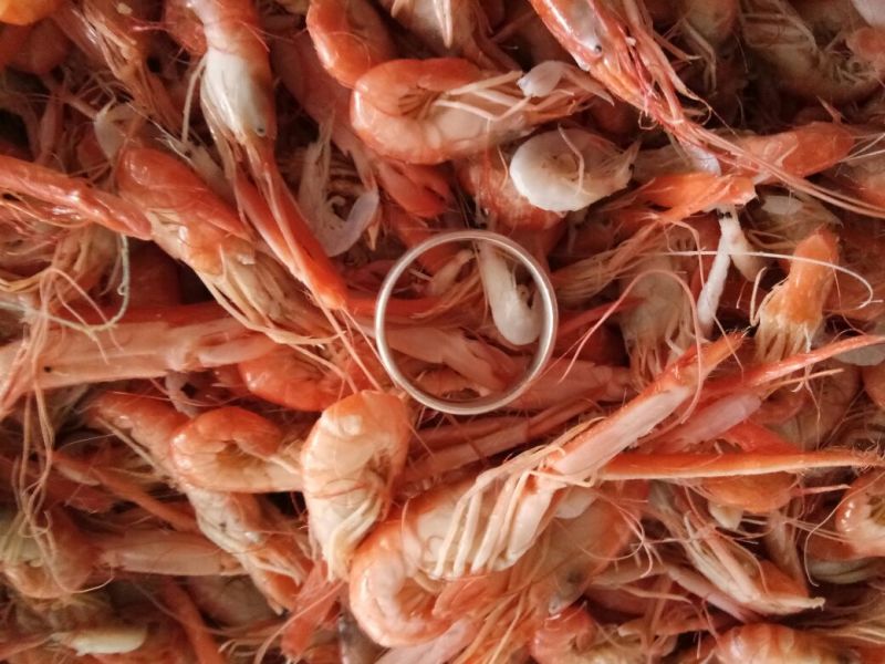 红虾食用冻虾
