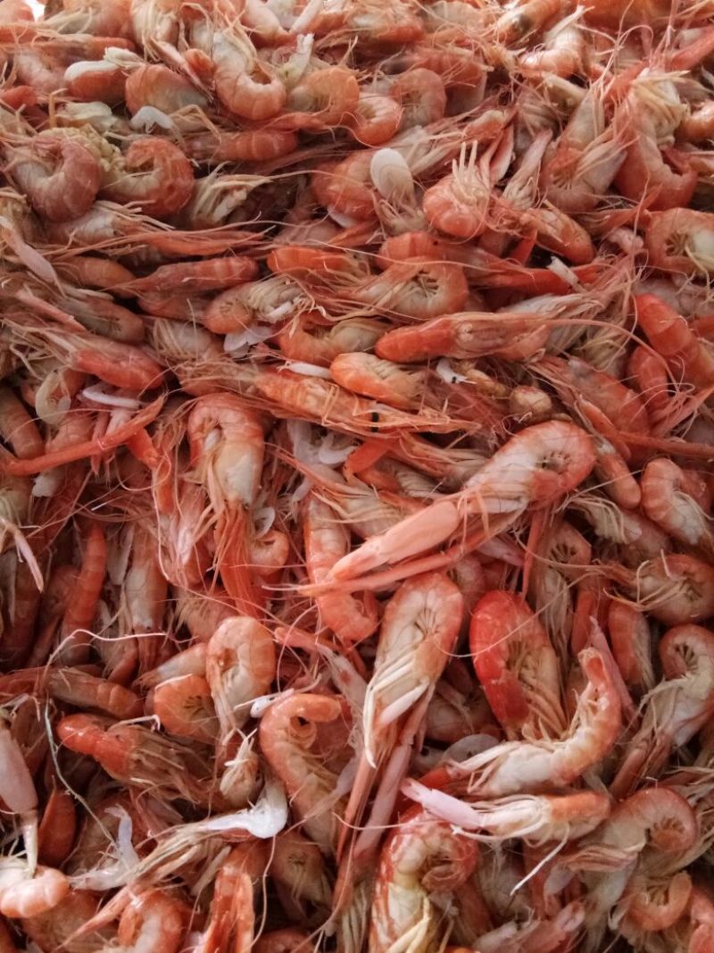 红虾食用冻虾