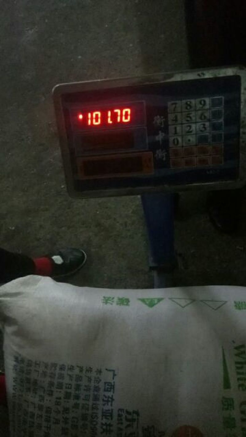 蕉芋粉散装