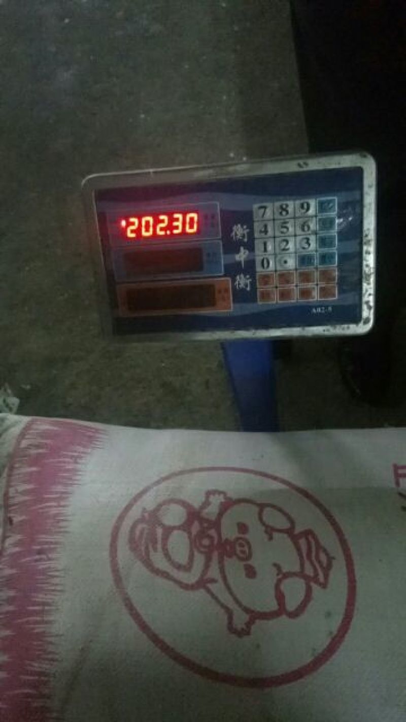 蕉芋粉散装