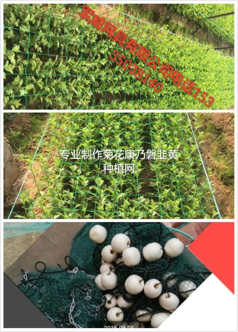 江苏宿迁沭渔网厂家现货质量好欢迎咨询采购