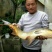 鲤鱼1~2公斤食用