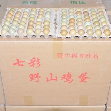 七彩野鸡蛋，养殖场直供，货源充足，保证新鲜，全国发货