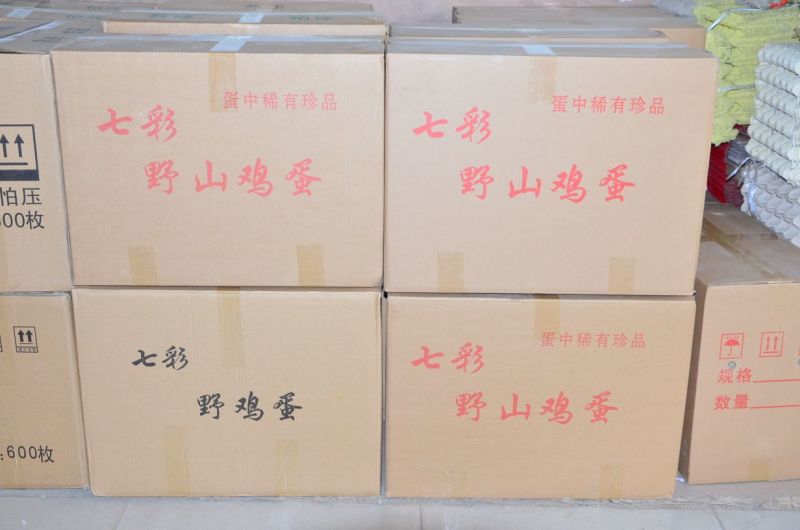 七彩野鸡蛋，养殖场直供，货源充足，保证新鲜，全国发货