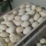 初生新鲜大鹅蛋食用