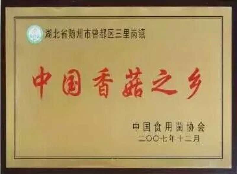 香菇菌种椴木菌种种木头上的
