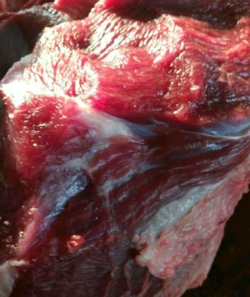 纯干的牛肉纯干肉，现宰杀的鲜肉，黄牛肉，