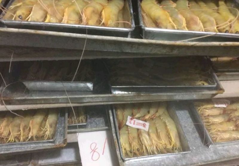 明虾食用活虾