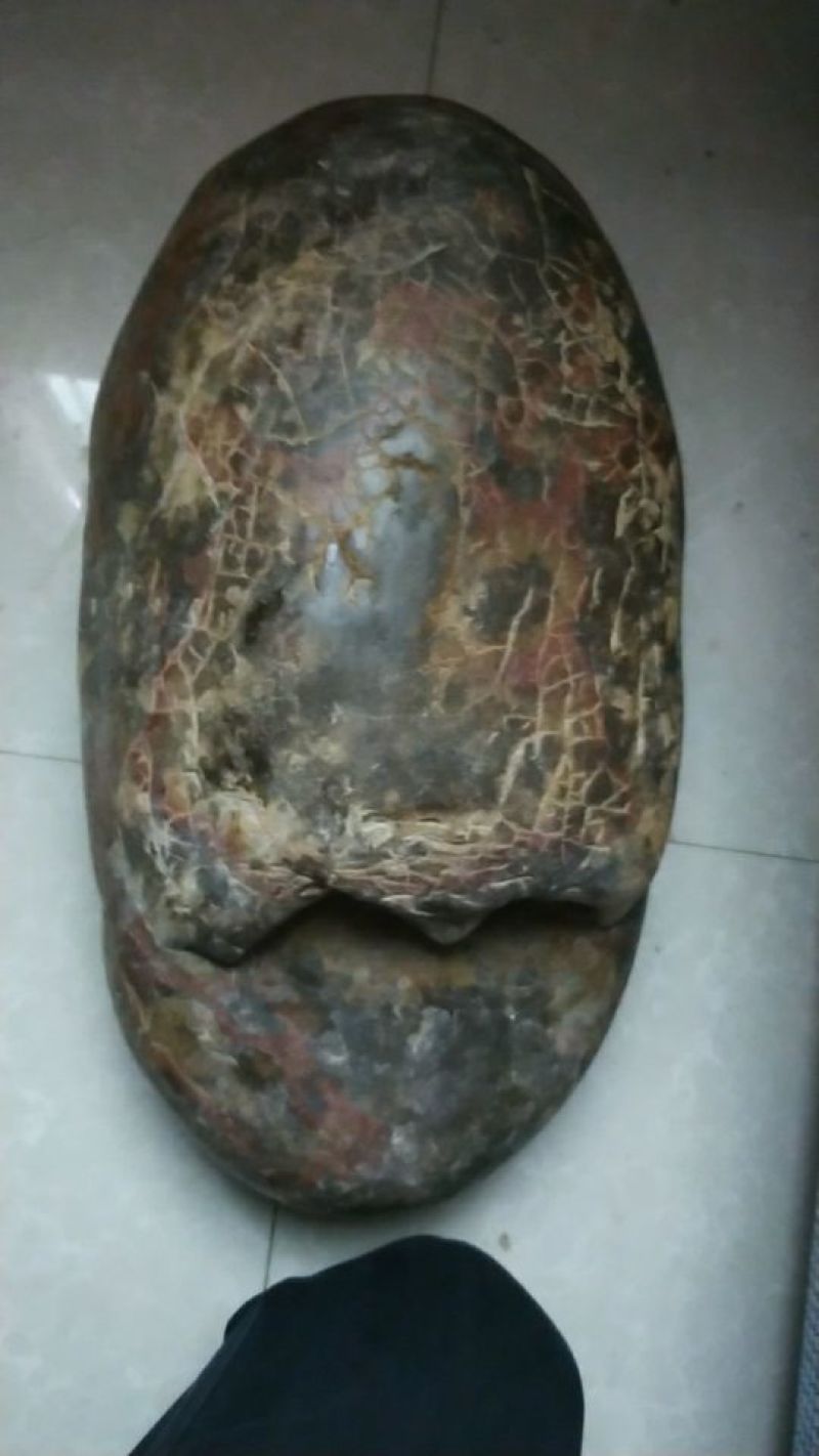 毛石