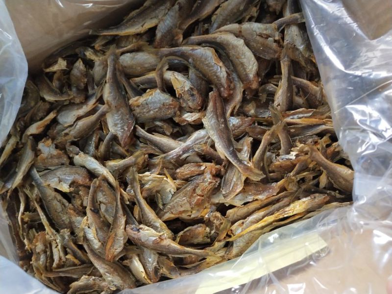对虾干