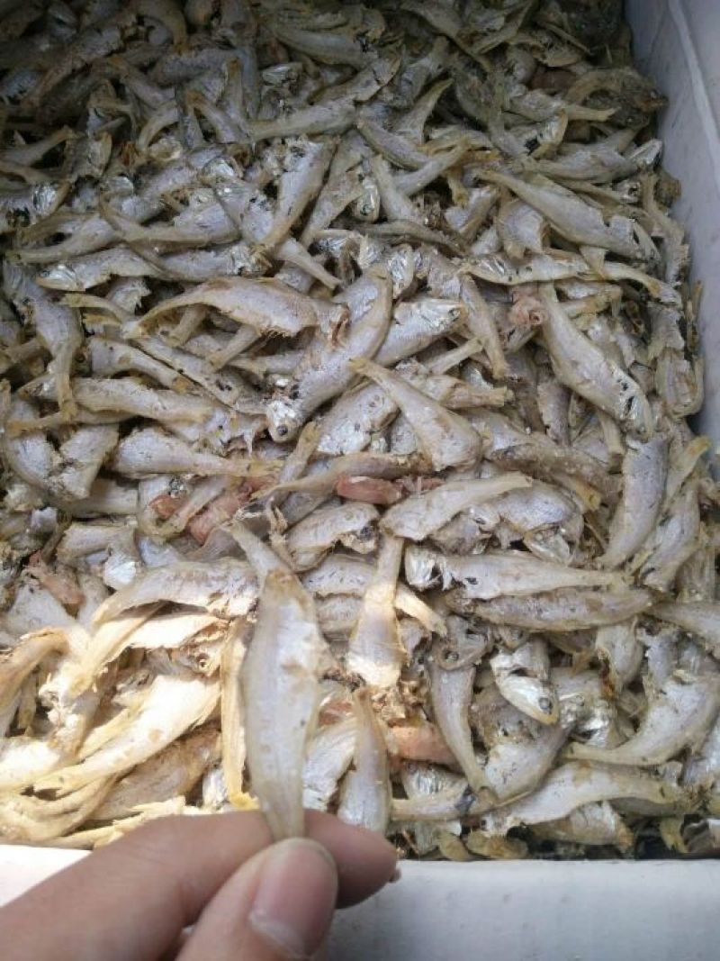 对虾干