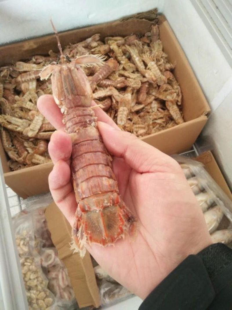 对虾干