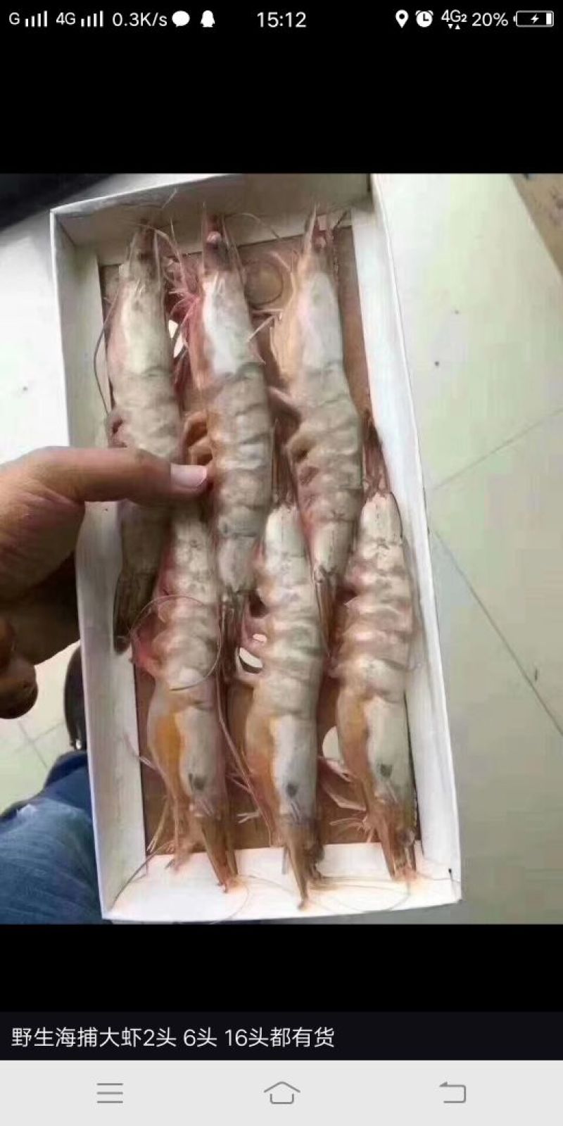 对虾干