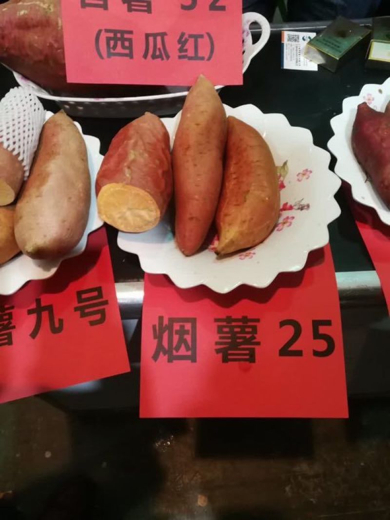 商薯19红薯白心