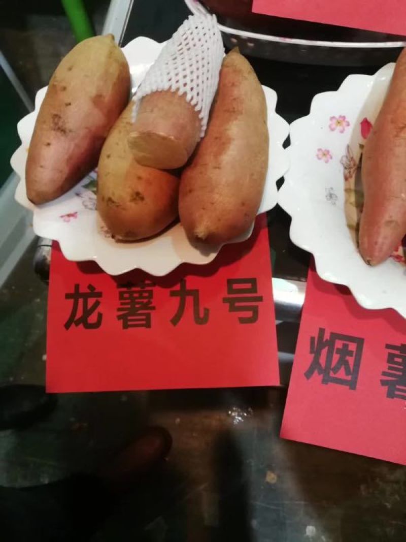 商薯19红薯白心