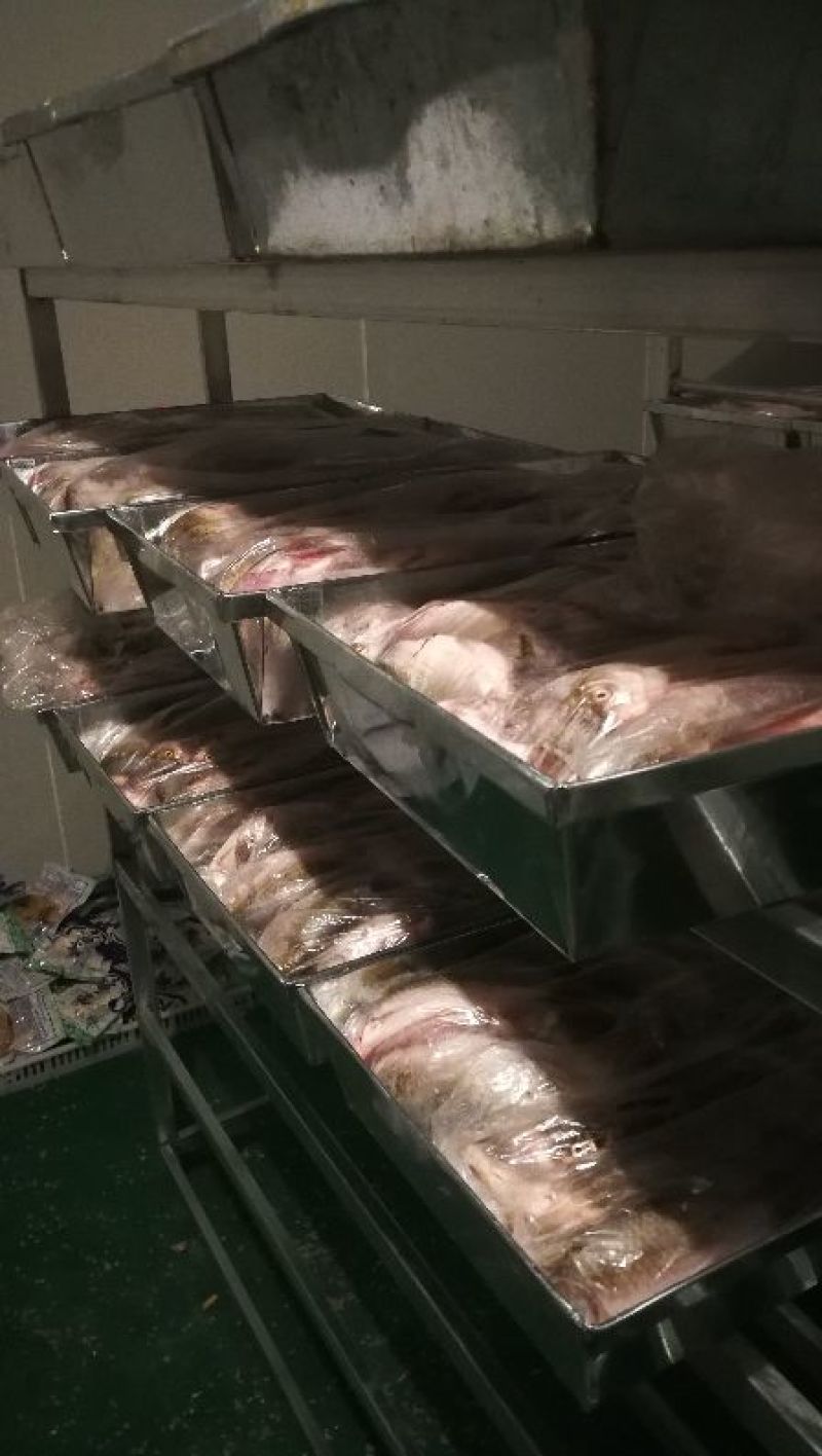 鲫鱼食用