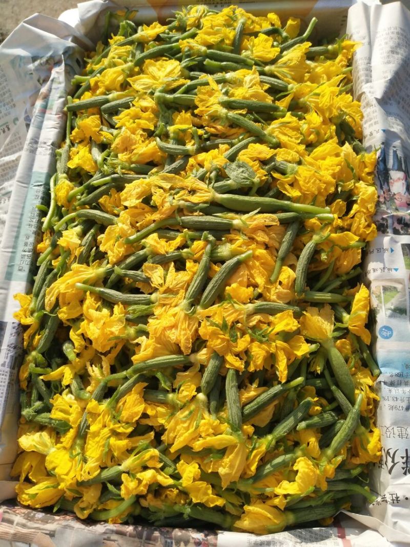 青瓜花